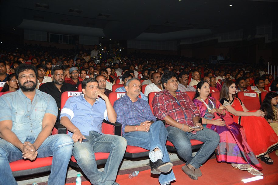 Express-Raja-Audio-Launch